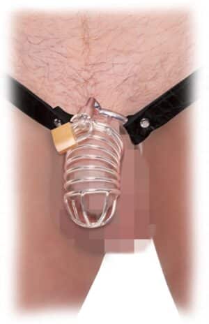 Fetish Fantasy Extreme Peniskäfig „Extreme Chastity Belt“ mit Hüftgurt aus Leder